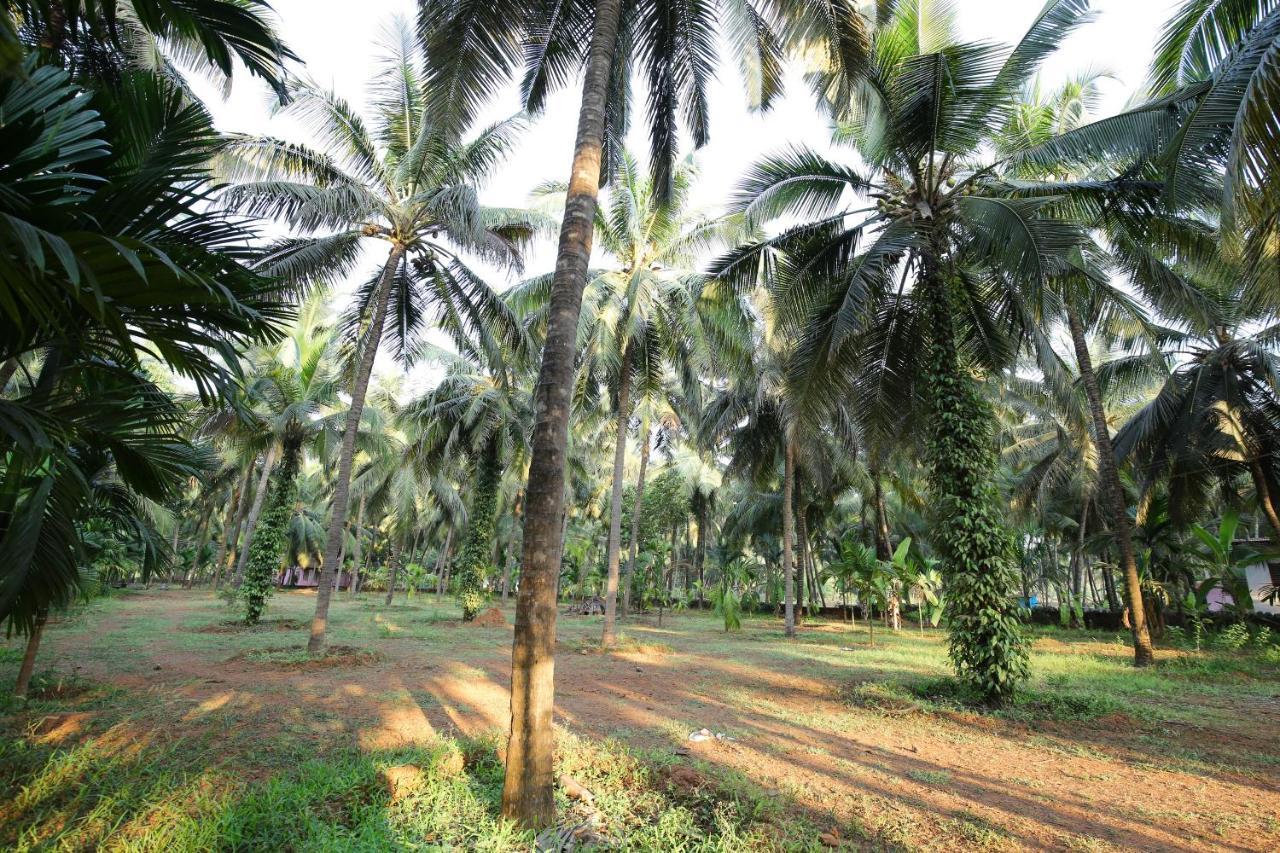 Saikushi Beach Resort Kundapur Exterior foto